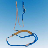 ����ʽ��ȫ��