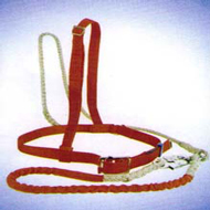 �p���p���U��ȫ��